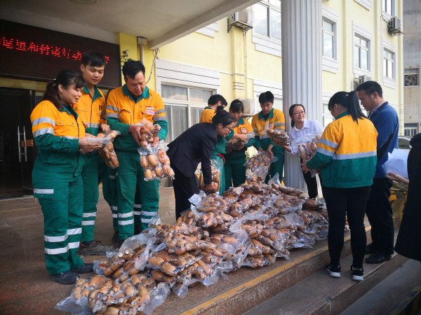 村企共建  互利共赢——记南宁8040威尼斯参加武鸣区伊岭 工业委精准扶贫活动